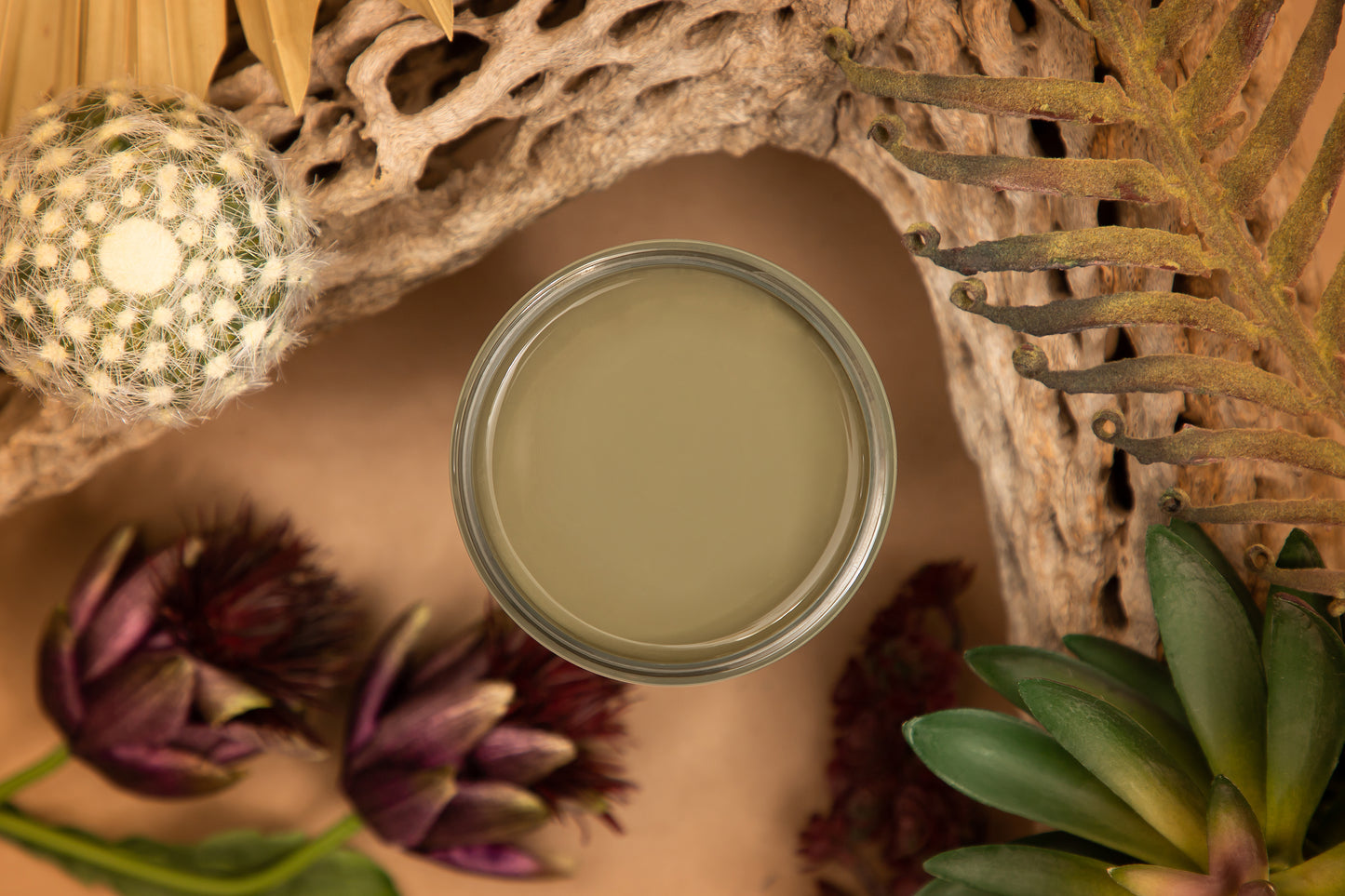 Cactus Silk All-in-One Mineral Paint