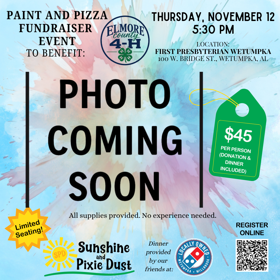 11/12/2026 PM 05:30 Paint and Pizza Fundraiser Elmore County 4-H