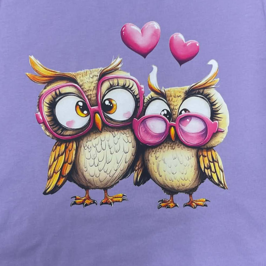 Valentine Owl Couple Graphic T-Shirt | Cute Owl Love Shirt | Whimsical Valentine Tee | Couple Inspired Art Shirt