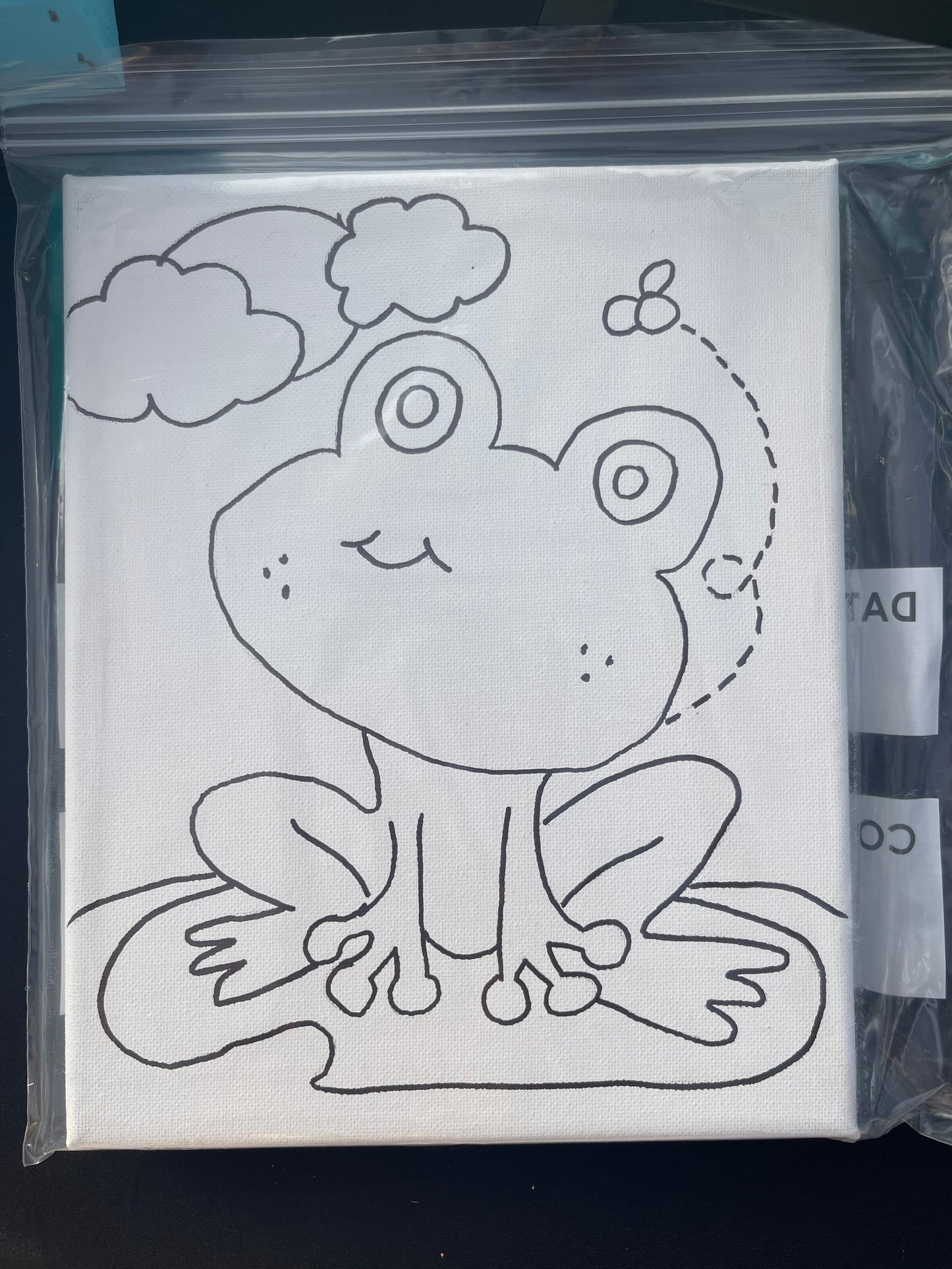 Frog Kids Paint Kit