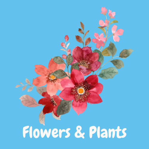 Flowers & Plants Acrylic Paint Kits