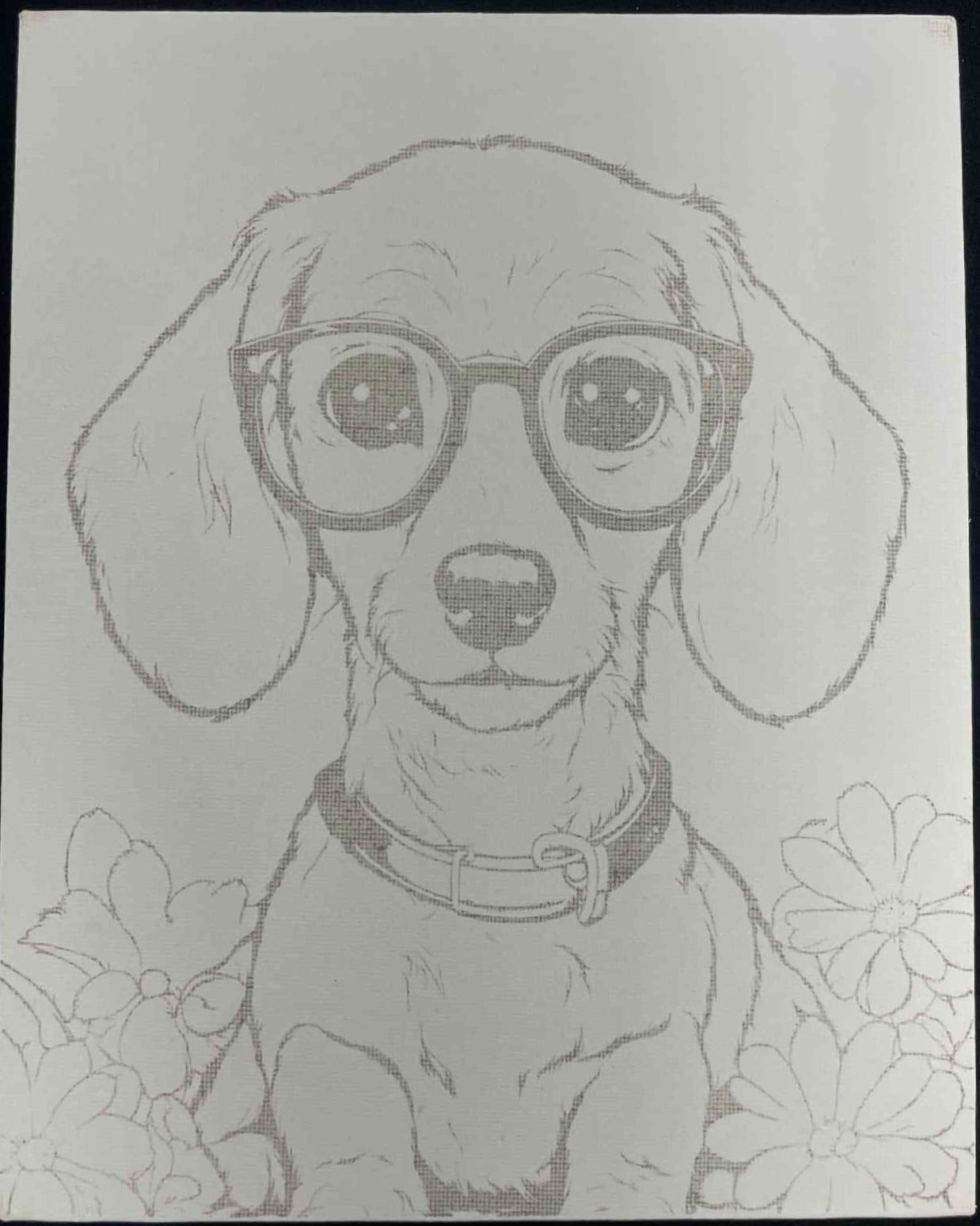Glasses Doxie Watercolor Paint Kit - DIY Art Set All Ages, Traced Canvas, Paint & Brush, Quality Craft Project Gift