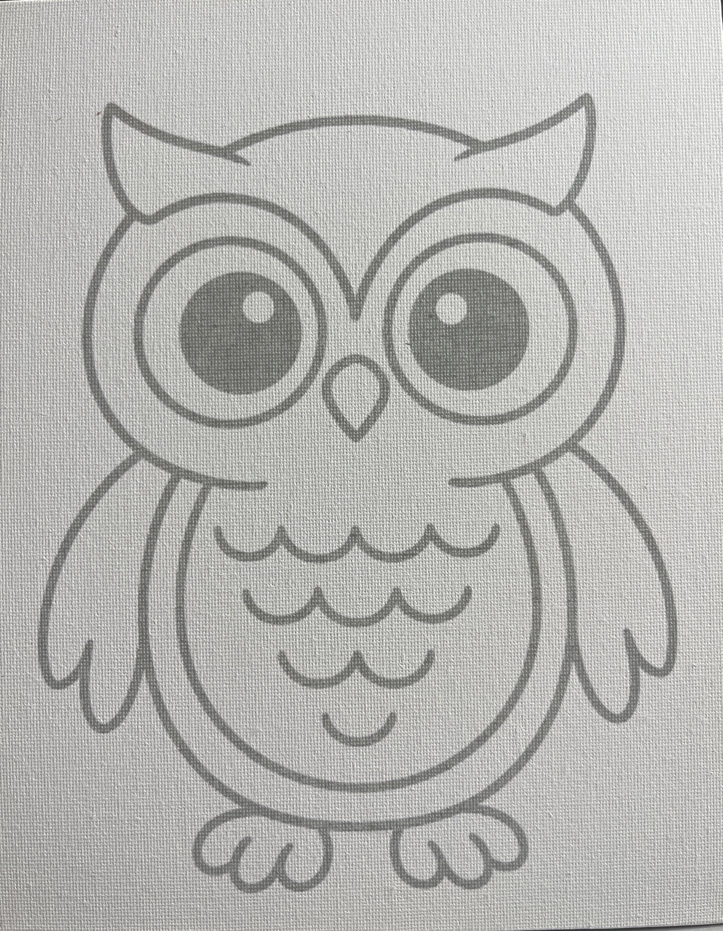 Owl 8x10 Canvas Board Paint Kit - DIY Art Set All Ages, Traced Design, Paint & Brush, Quality Craft Project Gift