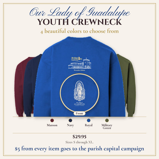 Youth Crewneck in 4 colors