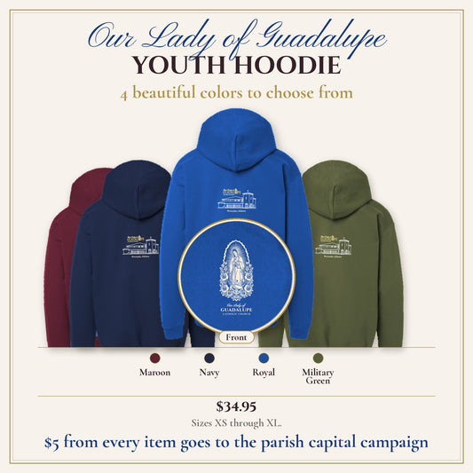 Youth Hoodie in 4 colors