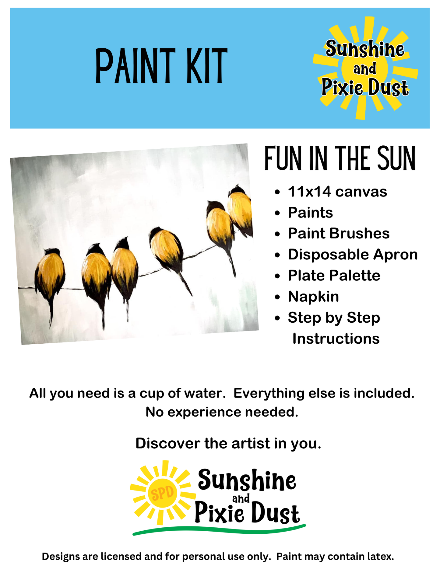 Birds on Wire Paint Kit – Pre-Drawn Canvas | DIY Paint Kit for All Ages | Easy At-Home Activity | Art Gift
