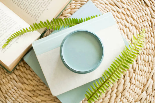 Harbor Silk All-in-One Mineral Paint