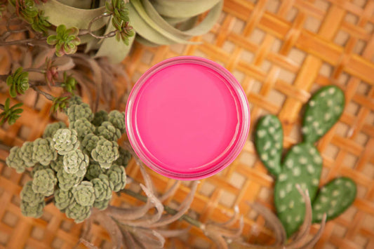 Prickly Pear Silk All-in-One Mineral Paint